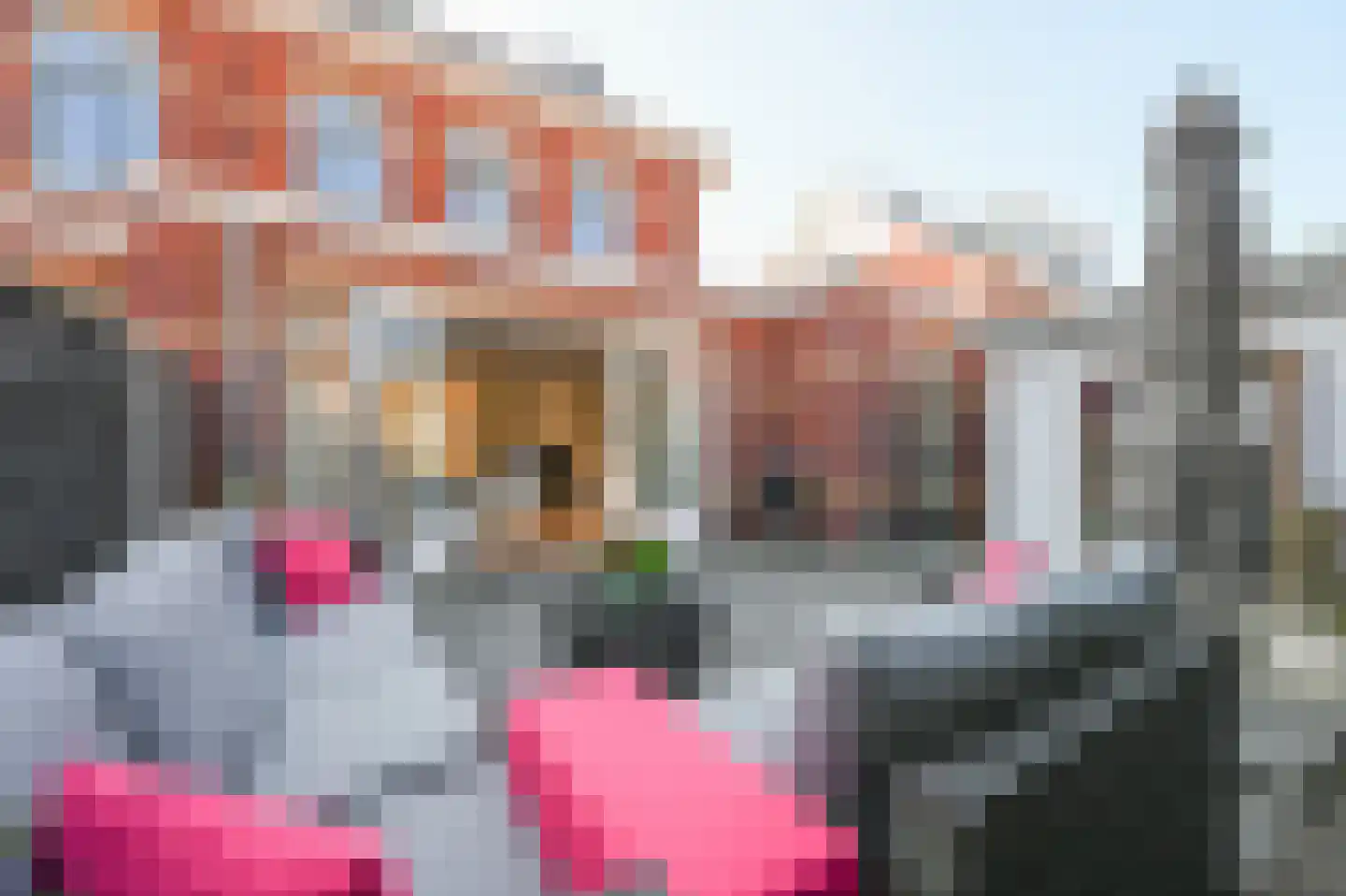 Thomas Mannsingel 53 Den Haag thumbnail 4