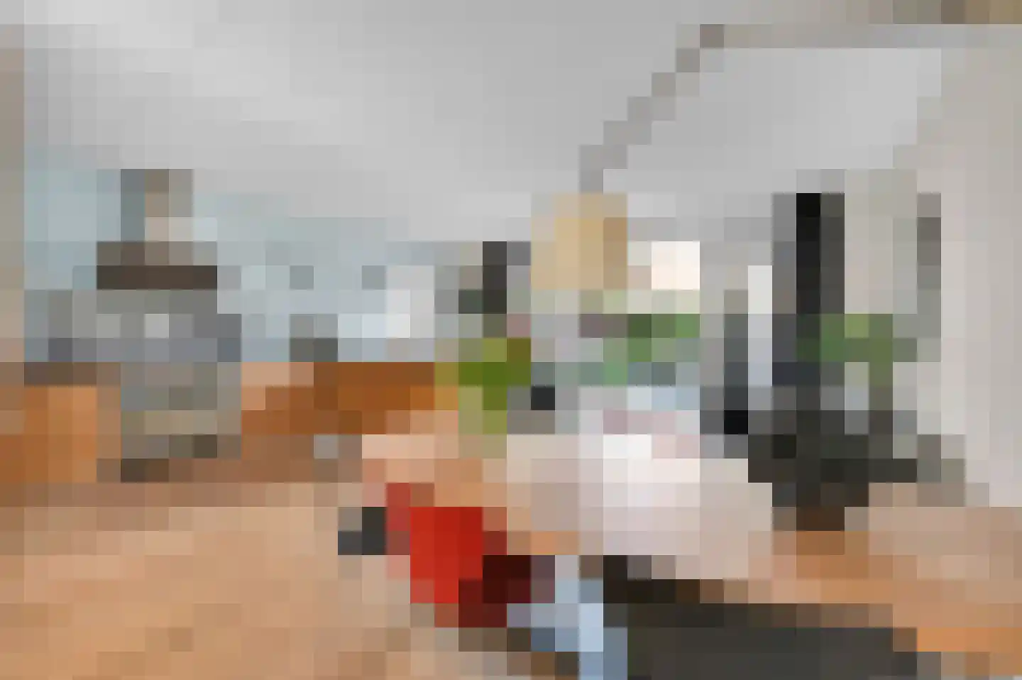 Thomas Mannsingel 57 Den Haag thumbnail 15