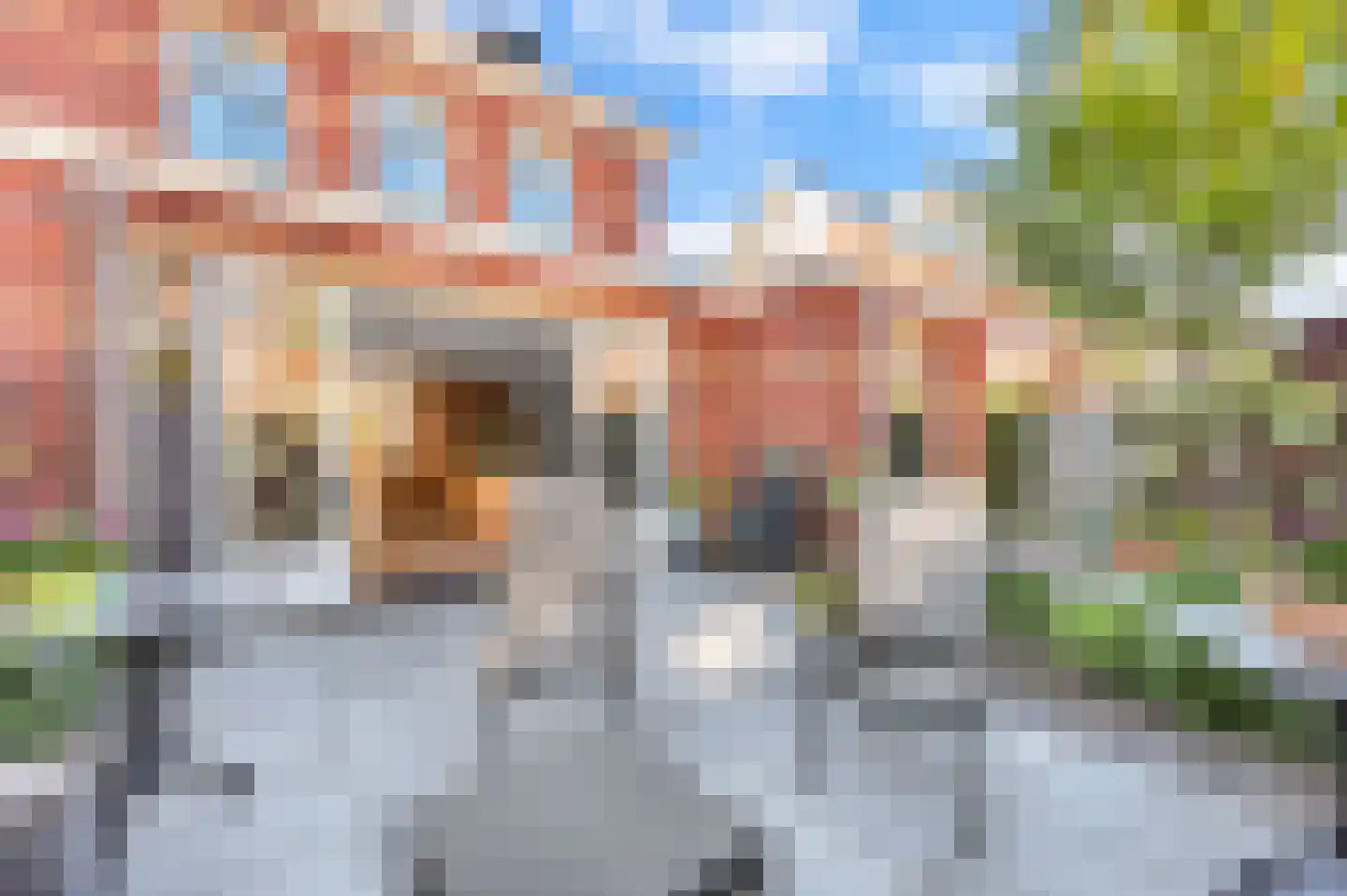 Thomas Mannsingel 57 Den Haag thumbnail 19