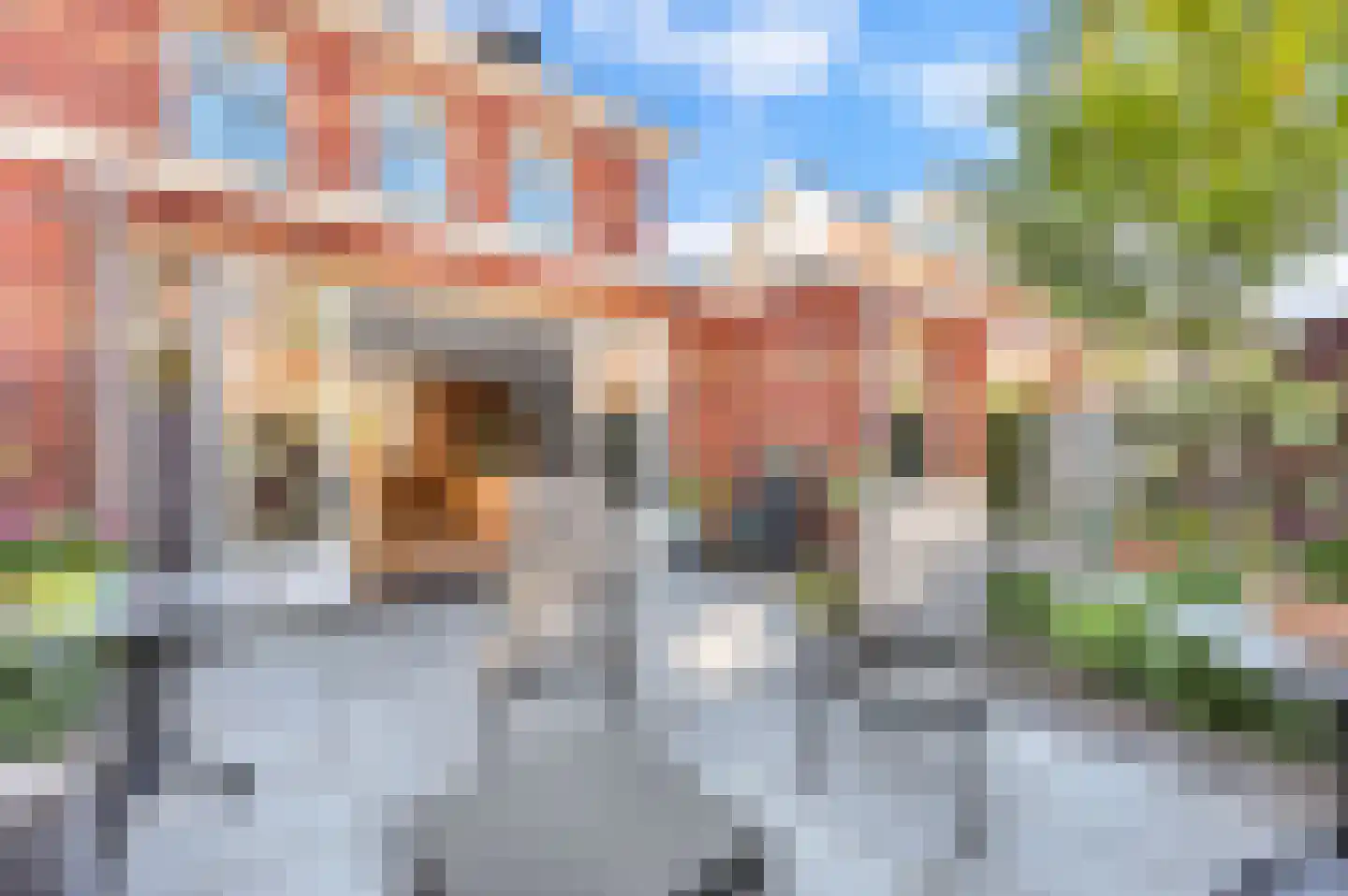 Thomas Mannsingel 57 Den Haag thumbnail 19