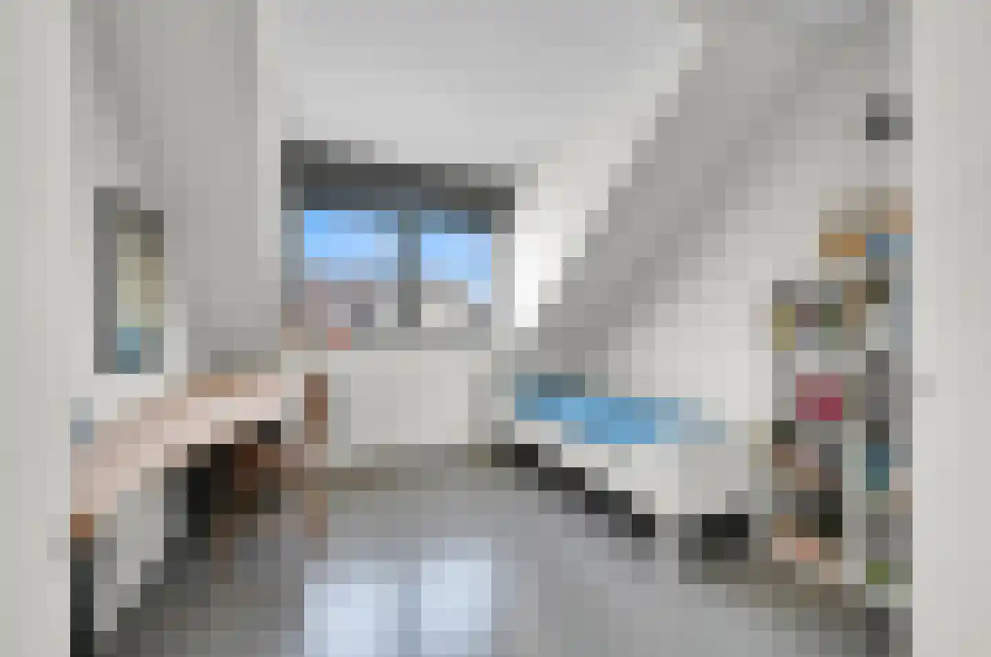 Thomas Mannsingel 57 Den Haag thumbnail 42
