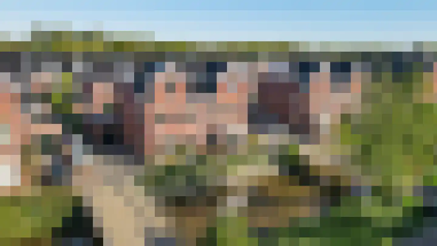 Thomas Mannsingel 57 Den Haag thumbnail 7