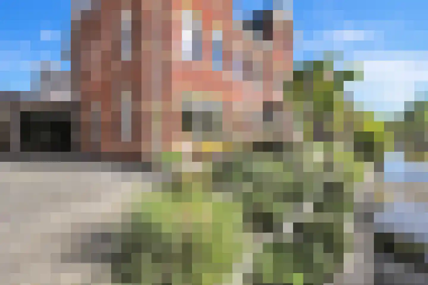 Thomas Mannsingel 57 Den Haag thumbnail 9