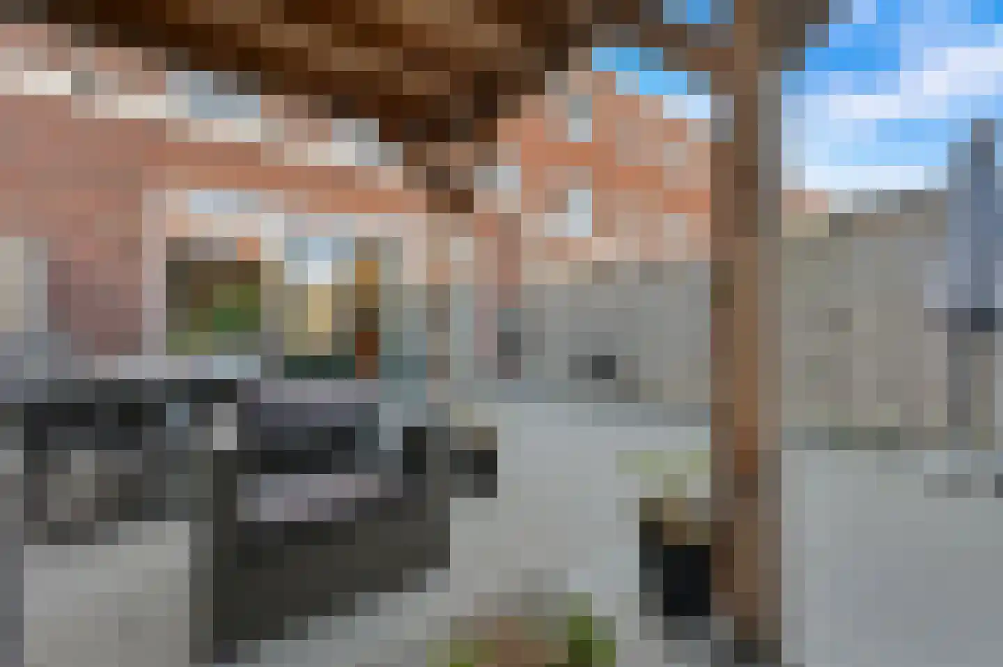 Thomas Mannsingel 97 Den Haag thumbnail 15