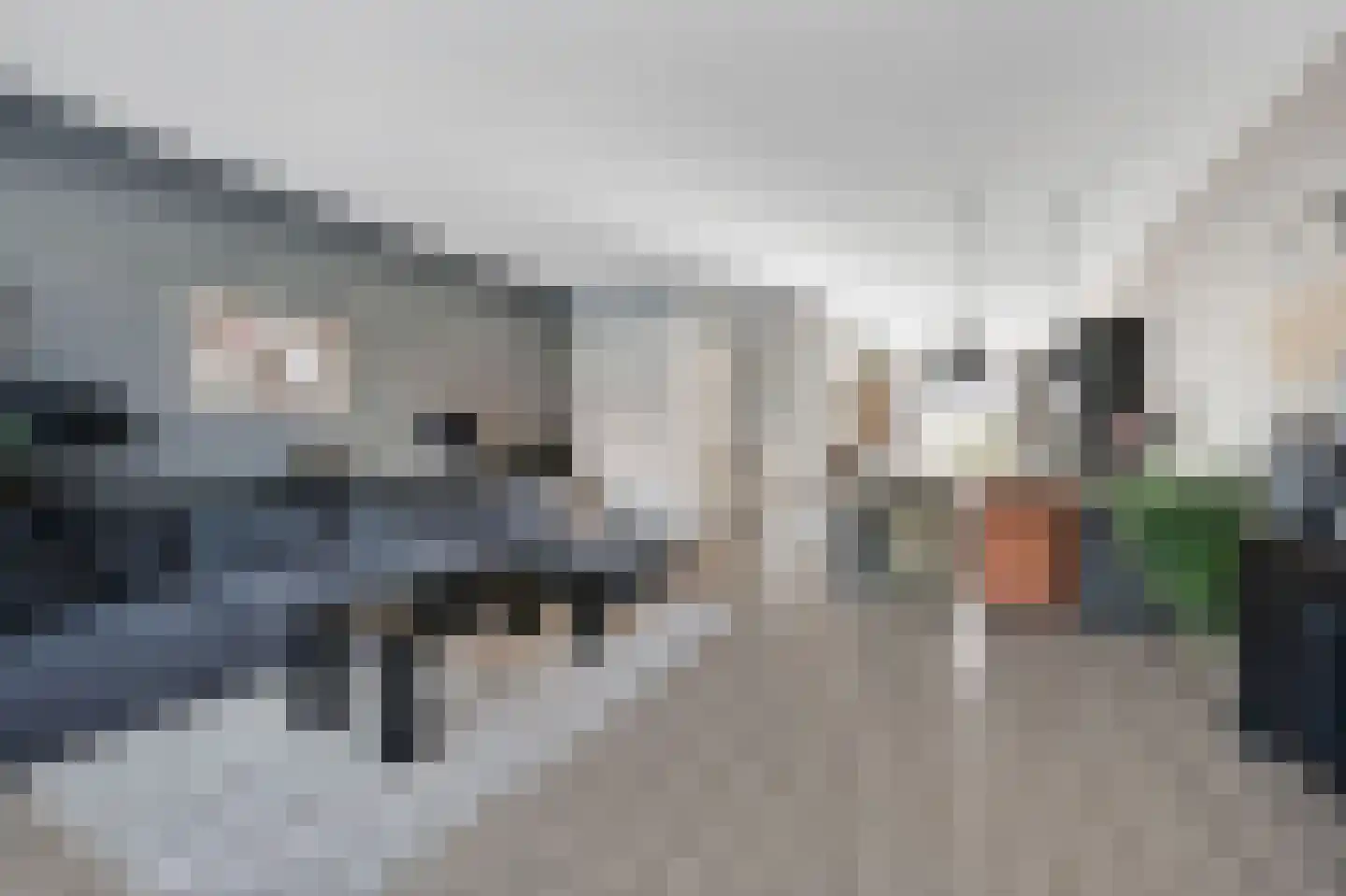 Thomas Mannsingel 97 Den Haag thumbnail 18