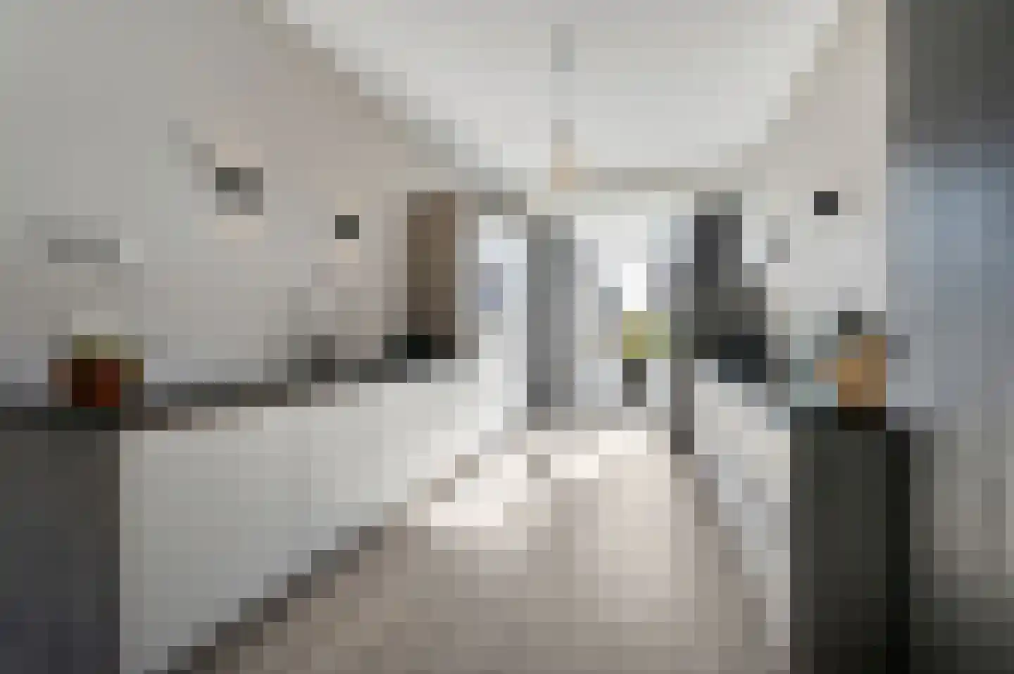 Thomas Mannsingel 97 Den Haag thumbnail 20