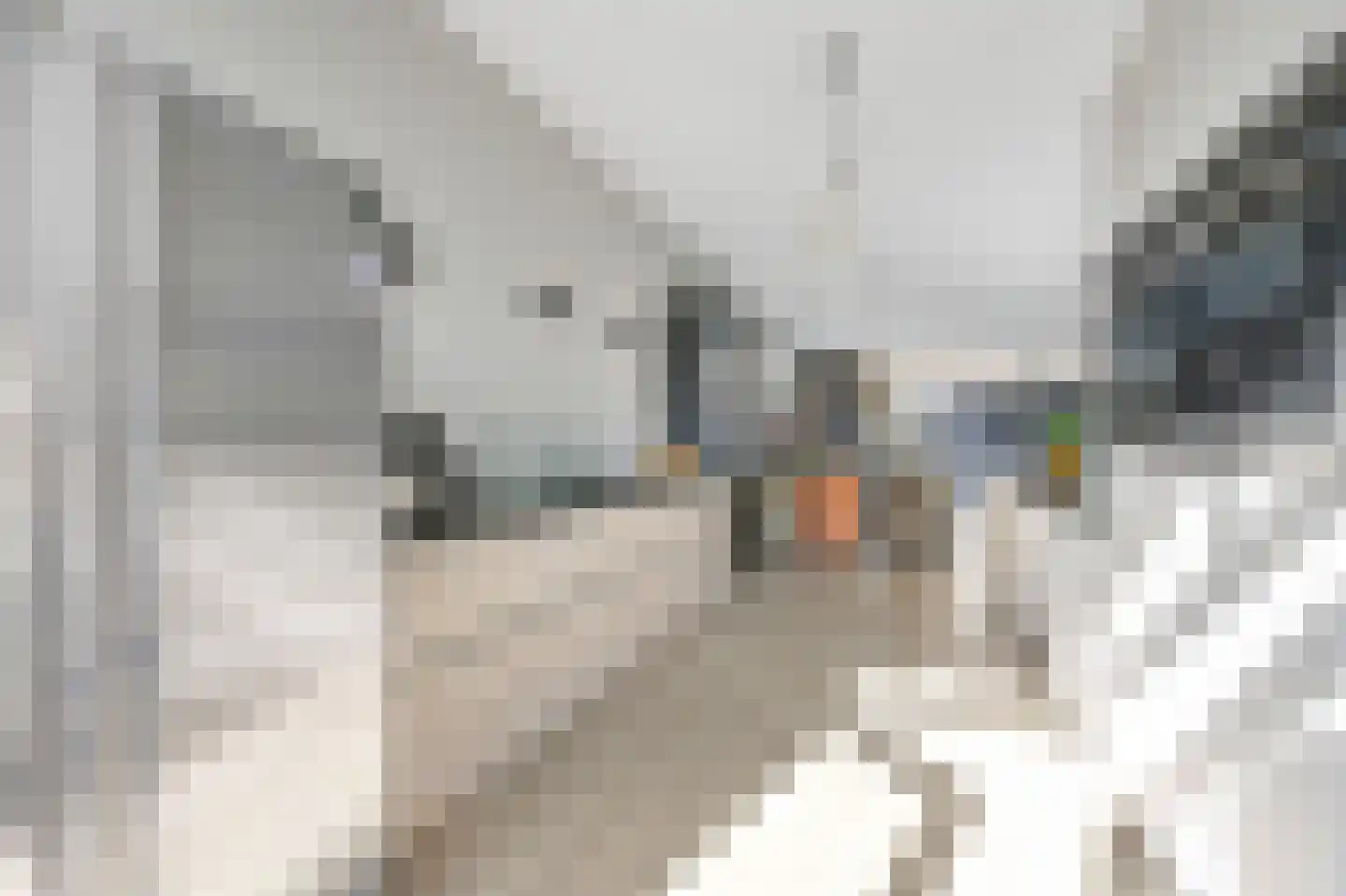Thomas Mannsingel 97 Den Haag thumbnail 21