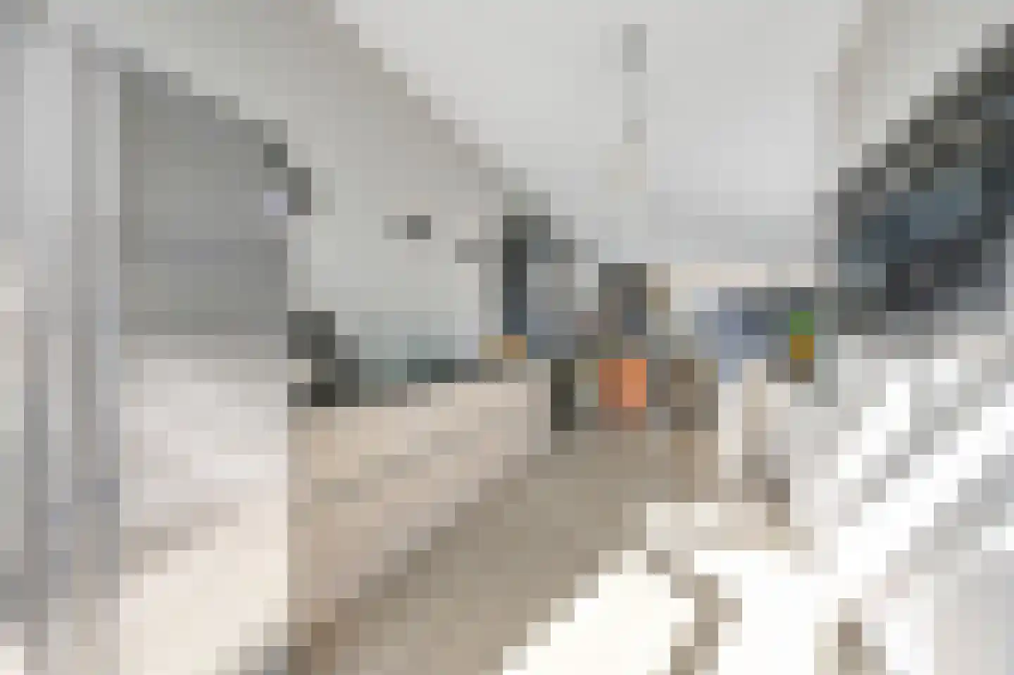 Thomas Mannsingel 97 Den Haag thumbnail 21