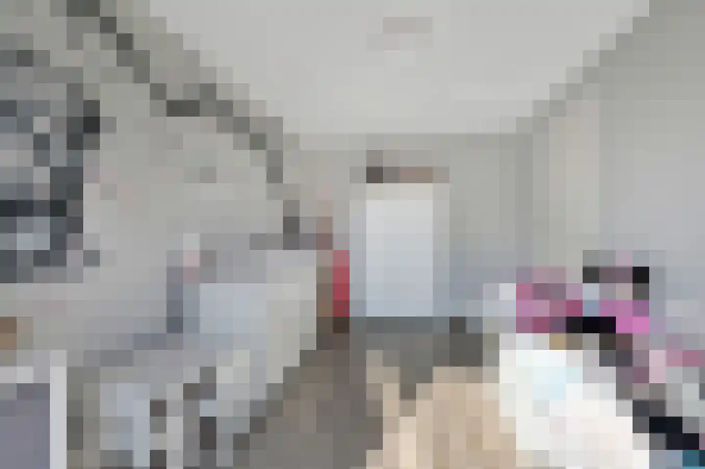 Thomas Mannsingel 97 Den Haag thumbnail 36