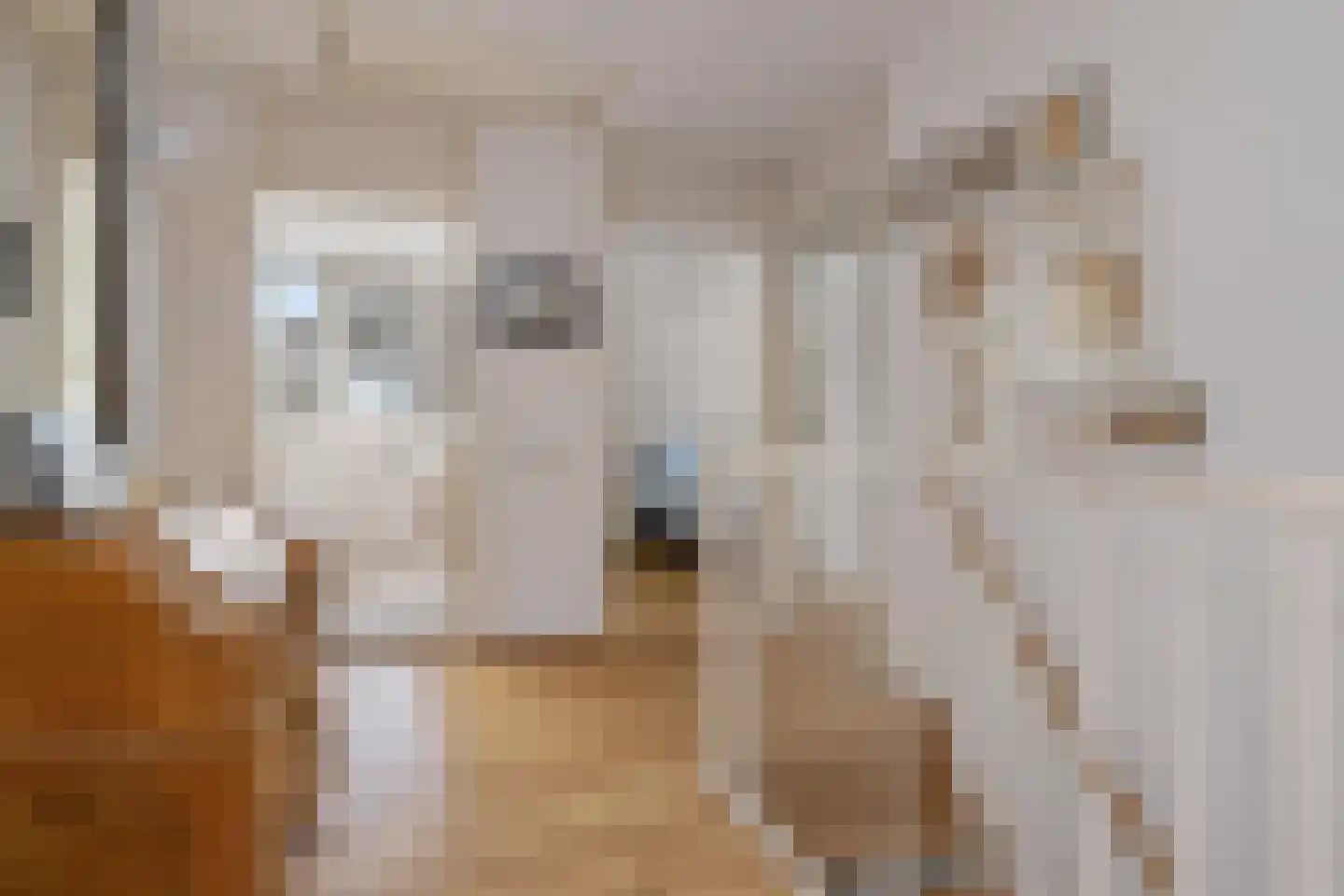Thomas Moredreef 20 Eindhoven thumbnail 22