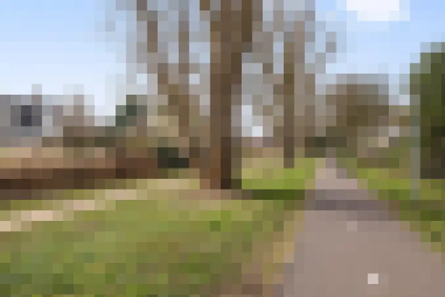 Thomas Moredreef 20 Eindhoven thumbnail 49