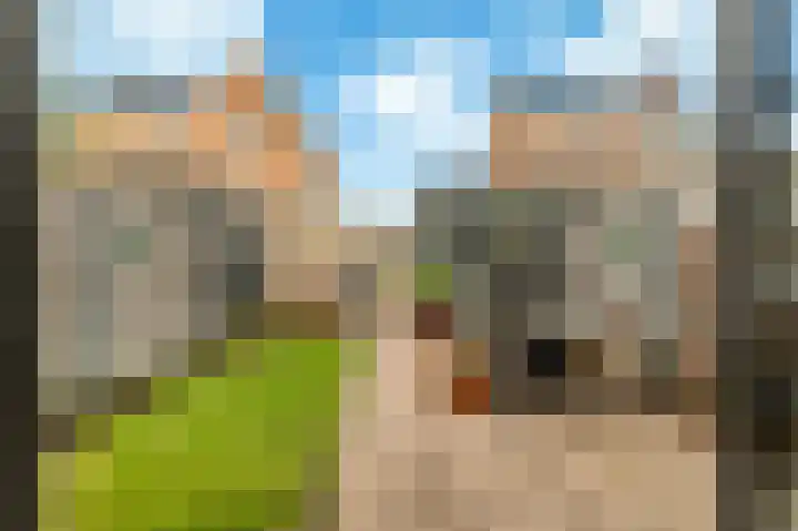 Thomas Morelaan 101 Hoofddorp thumbnail 27