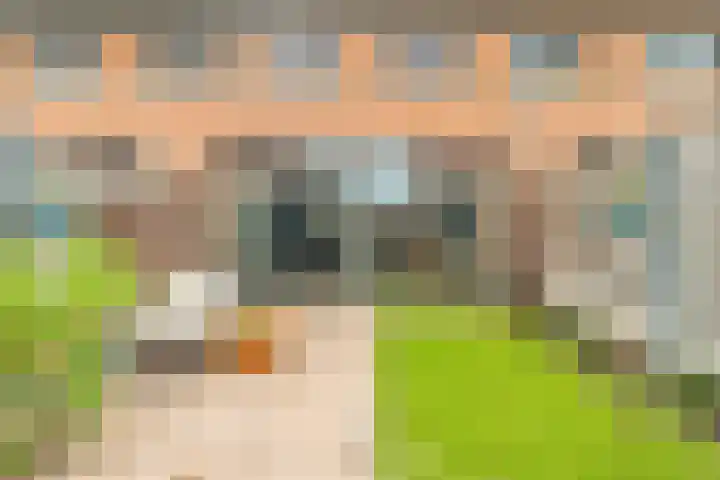Thomas Morelaan 101 Hoofddorp thumbnail 30