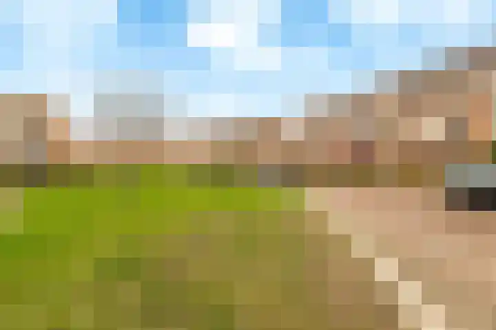 Thomas Morelaan 101 Hoofddorp thumbnail 46