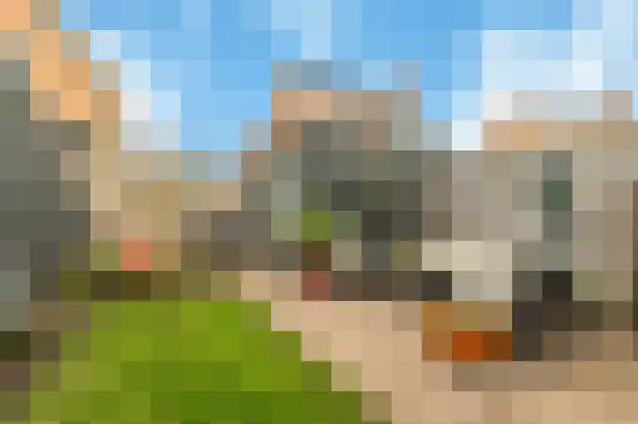 Thomas Morelaan 101 Hoofddorp thumbnail 5