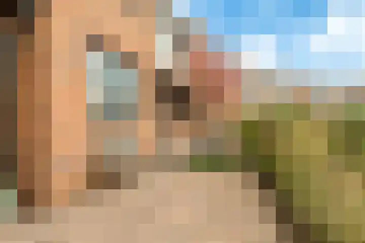 Thomas Morelaan 101 Hoofddorp thumbnail 8