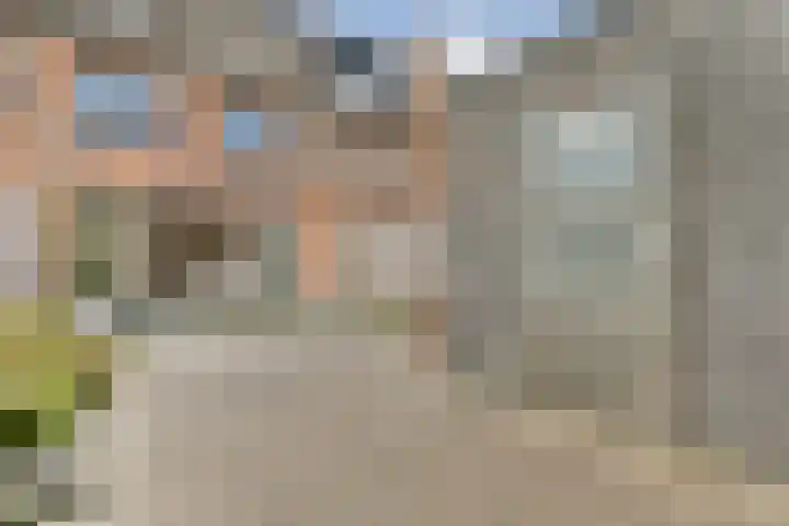 Thomas Morelaan 119 Hoofddorp thumbnail 12