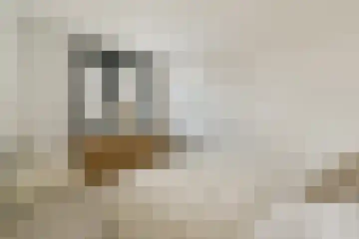 Thomas Morelaan 119 Hoofddorp thumbnail 14