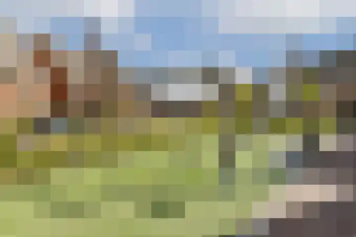 Thomas Morelaan 119 Hoofddorp thumbnail 29