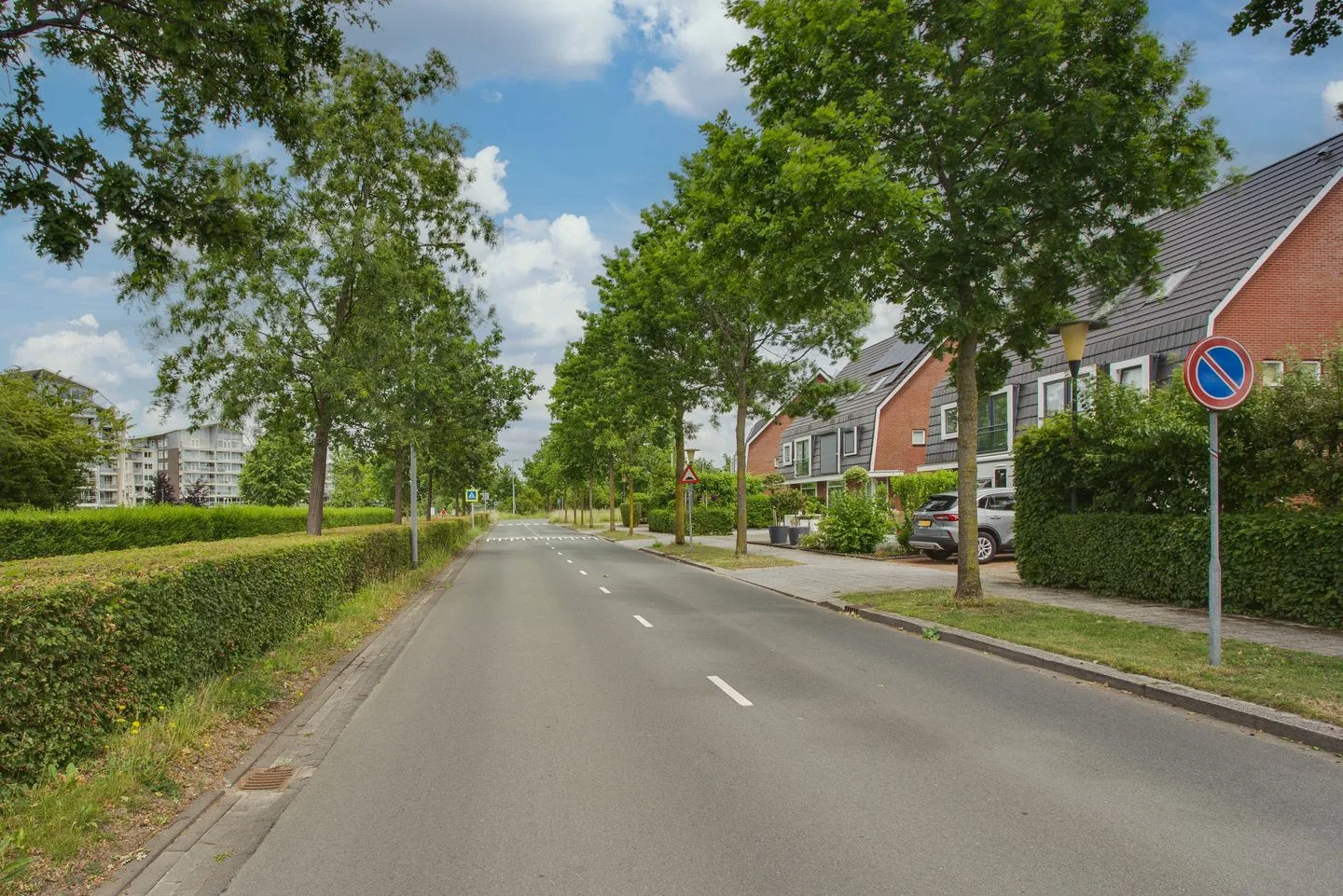 Thomas Morelaan 12 Zoetermeer thumbnail 53