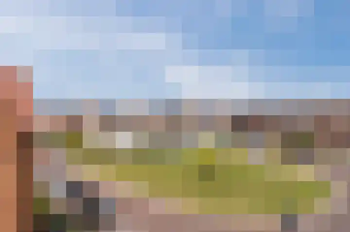 Thomas Morelaan 277 Hoofddorp thumbnail 25