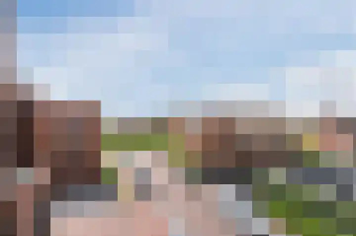 Thomas Morelaan 277 Hoofddorp thumbnail 26