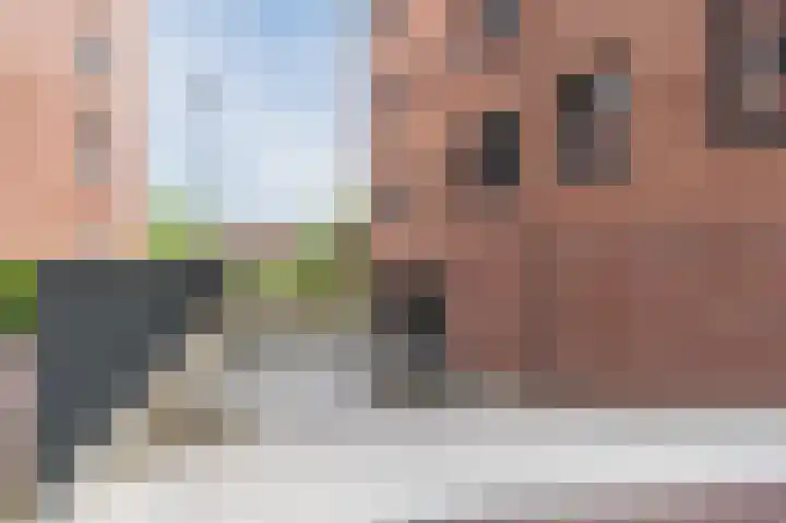 Thomas Morelaan 277 Hoofddorp thumbnail 28