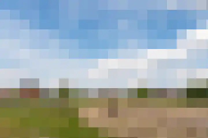 Thomas Morelaan 277 Hoofddorp thumbnail 35