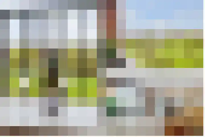 Thomas Morelaan 283 Hoofddorp thumbnail 16