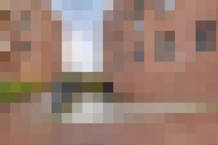 Thomas Morelaan 283 Hoofddorp thumbnail 33