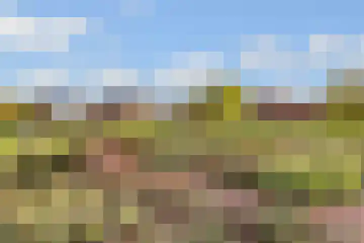Thomas Morelaan 283 Hoofddorp thumbnail 36