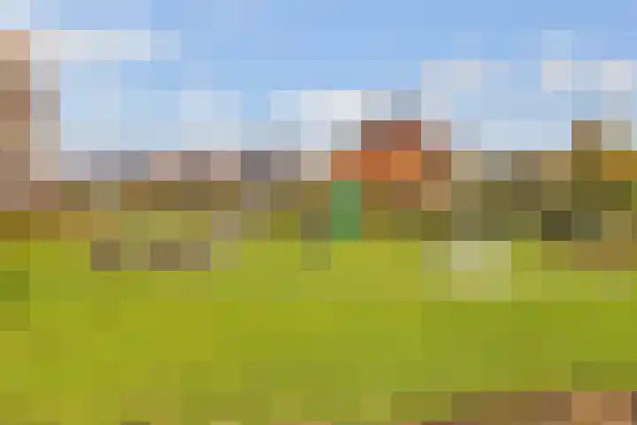 Thomas Morelaan 283 Hoofddorp thumbnail 37