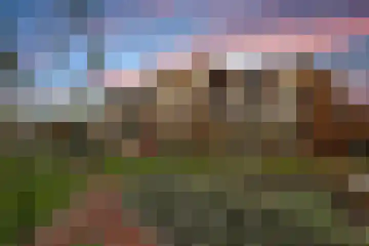 Thomas Morelaan 283 Hoofddorp thumbnail 38