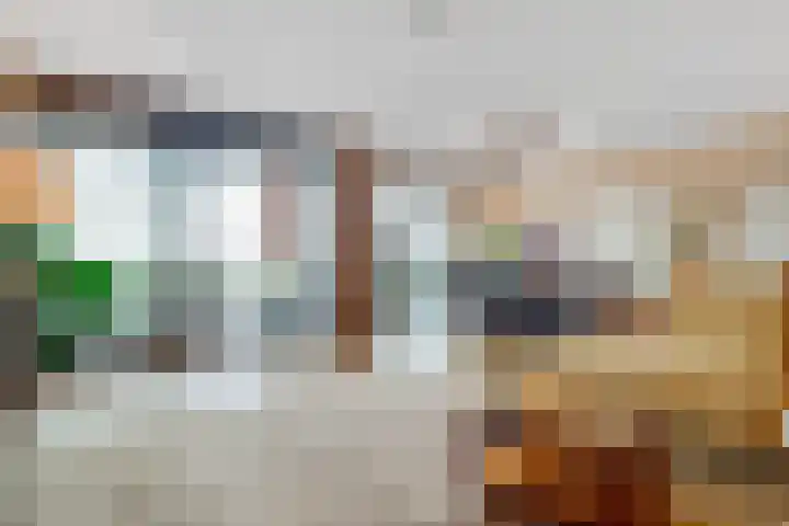 Thomas Morelaan 283 Hoofddorp thumbnail 8