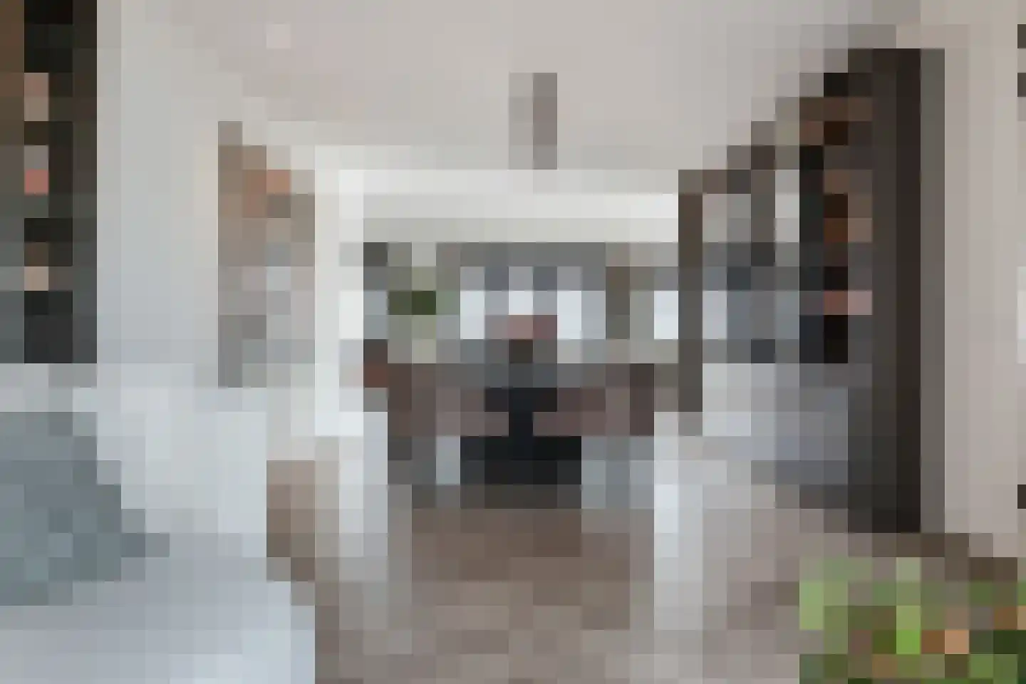Thomas Morelaan 305 Hoofddorp thumbnail 29