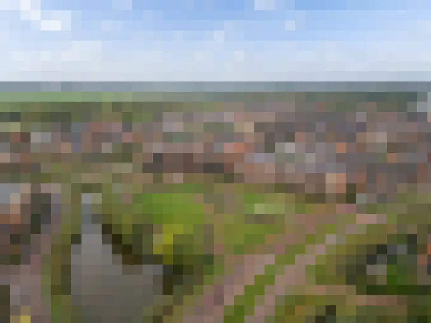 Thomas Morelaan 305 Hoofddorp thumbnail 62