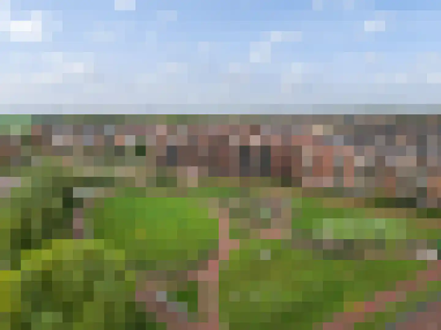 Thomas Morelaan 305 Hoofddorp thumbnail 7
