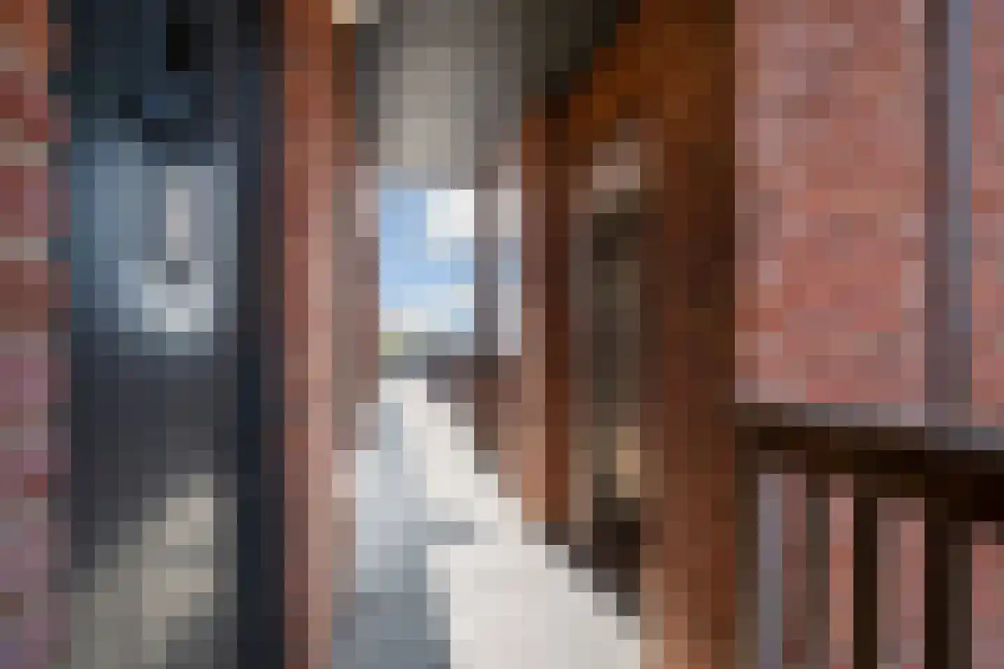 Thomas Morelaan 305 Hoofddorp thumbnail 8