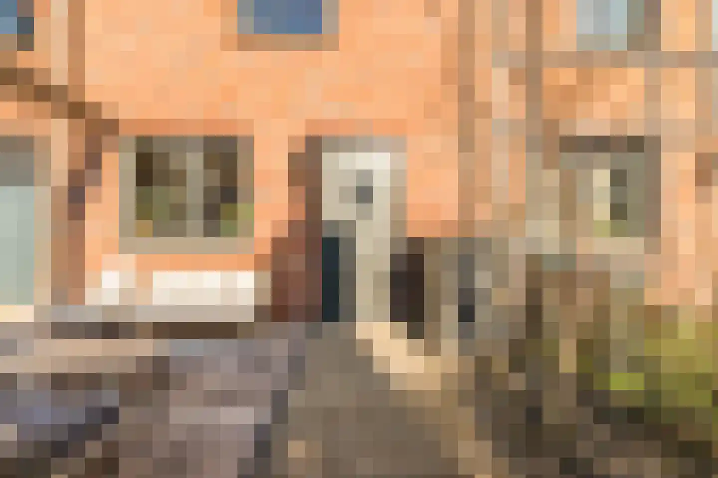 Thomas Morelaan 36 Hoofddorp thumbnail 8