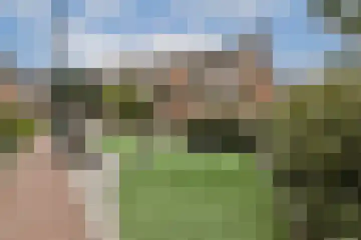 Thomas Morelaan 52 Hoofddorp thumbnail 20