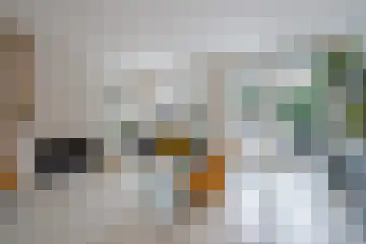 Thomas Morelaan 8 Zoetermeer thumbnail 11
