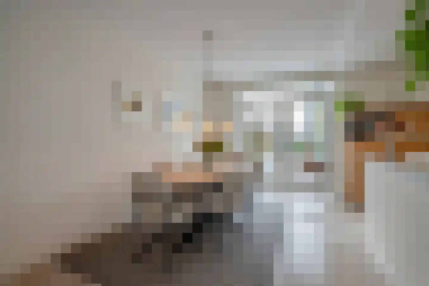 Thomas Morelaan 8 Zoetermeer thumbnail 18