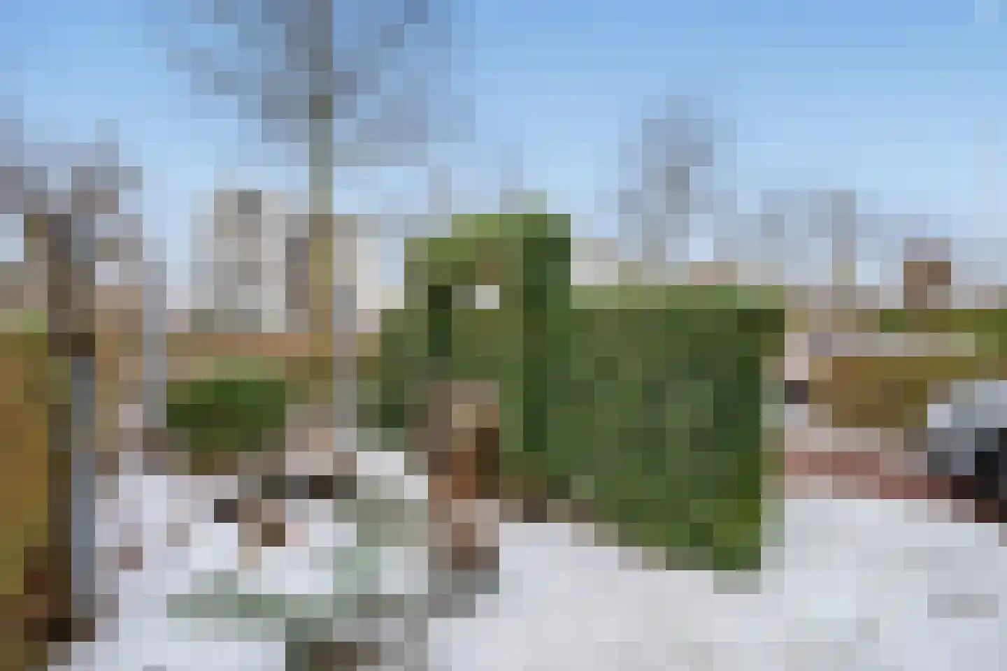 Thomas Morelaan 8 Zoetermeer thumbnail 23