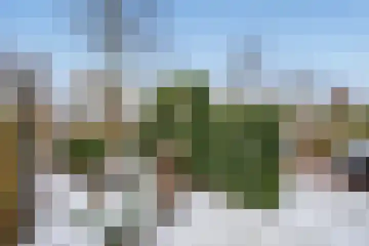 Thomas Morelaan 8 Zoetermeer thumbnail 23