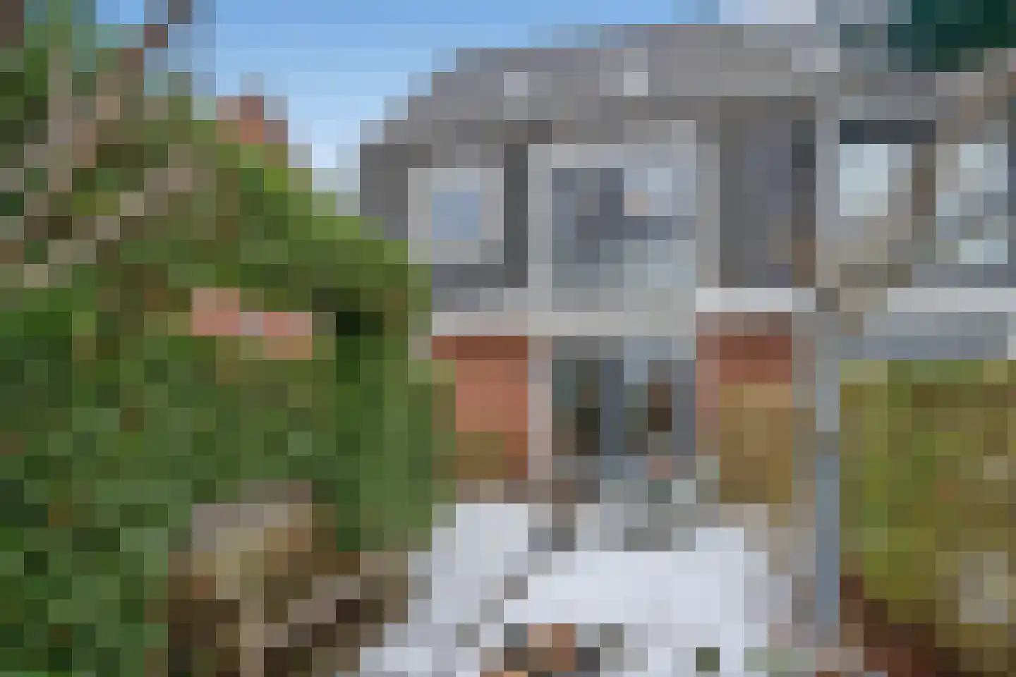 Thomas Morelaan 8 Zoetermeer thumbnail 24