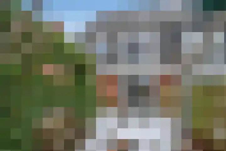 Thomas Morelaan 8 Zoetermeer thumbnail 24