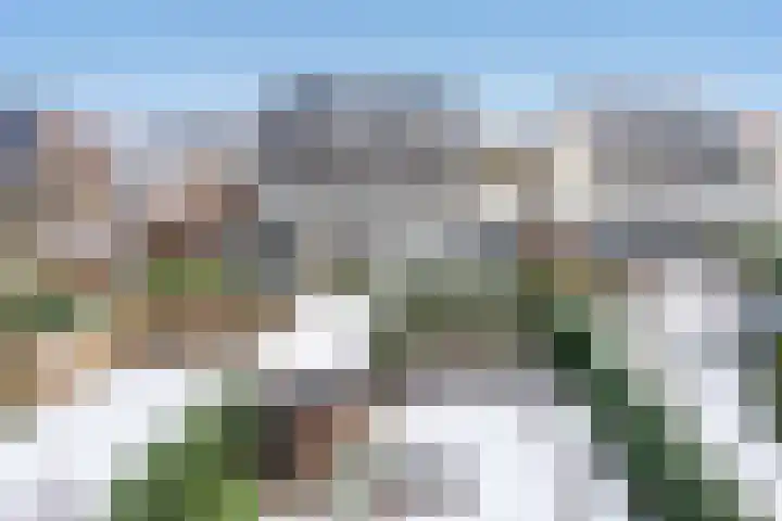Thomas Morelaan 8 Zoetermeer thumbnail 35