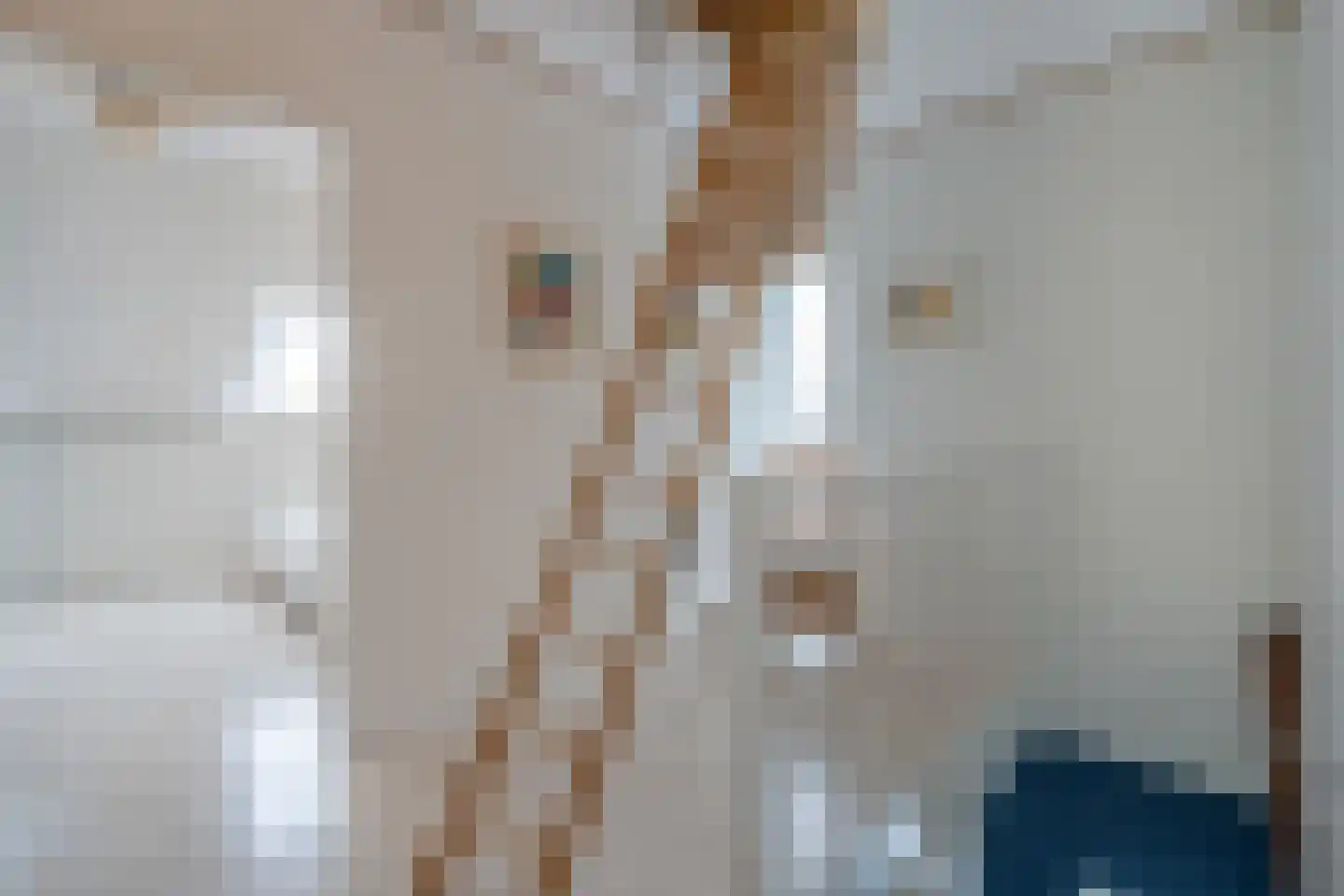Thomas Morelaan 8 Zoetermeer thumbnail 45