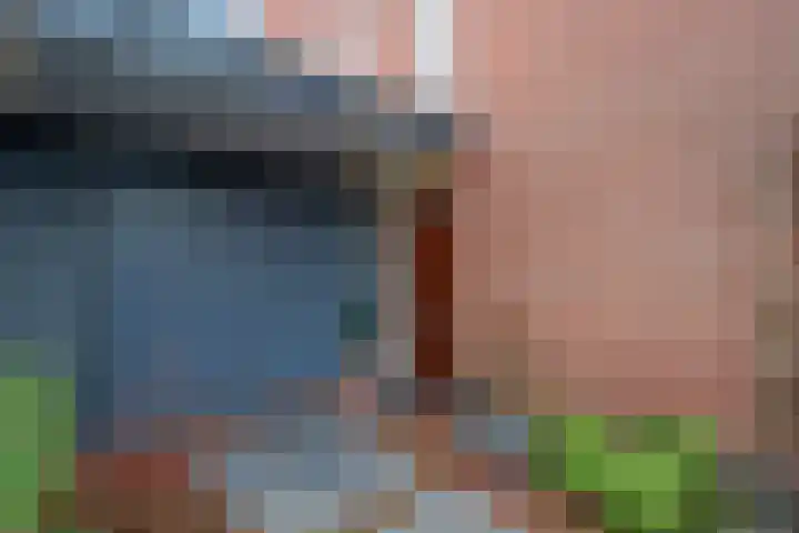 Thomas Morelaan 8 Zoetermeer thumbnail 5