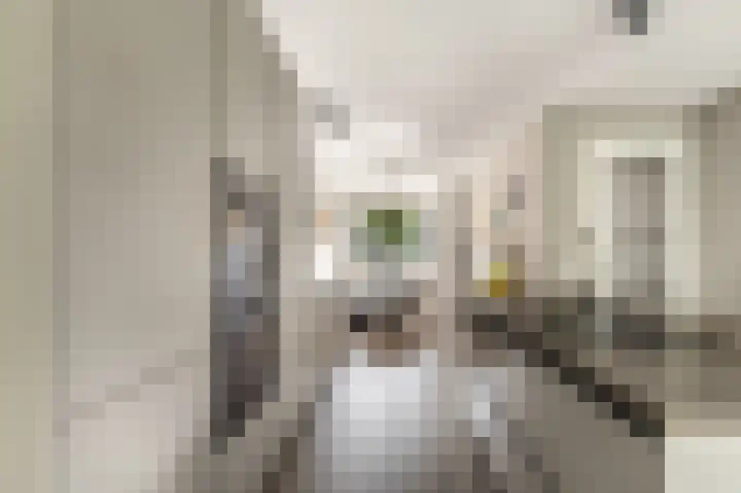 Thomas Morelaan 99 Hoofddorp thumbnail 14